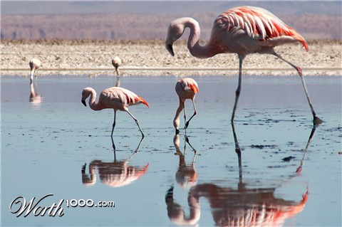 Photoshop Design by Zebulba76