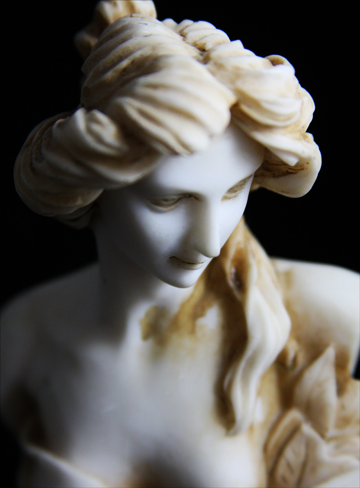 Photographie par starshimmer pour DesignCrowd (Community Contests) | Design #8950675