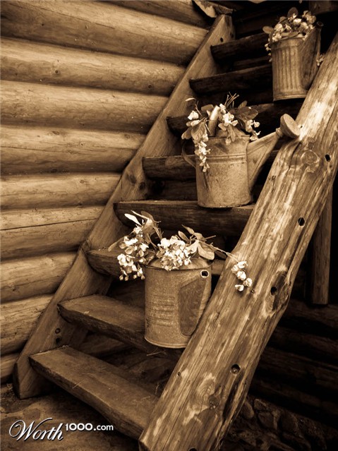 Photography by guitarfrk77