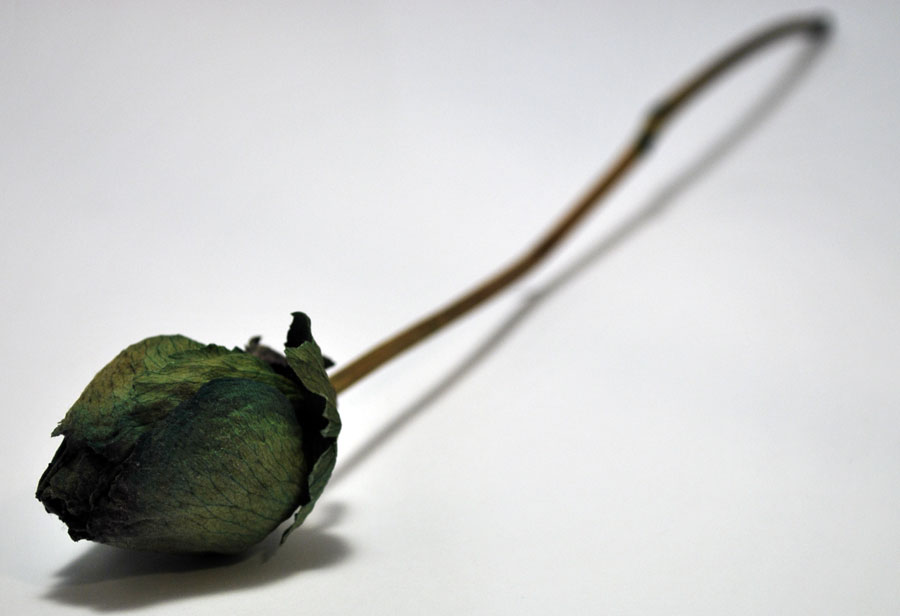 Fotografie von rerazo für DesignCrowd (Community Contests) | Design #8945022