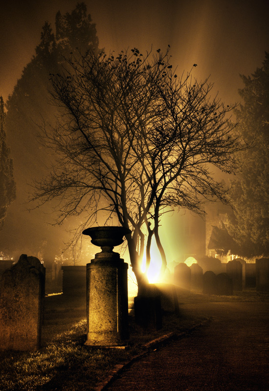 Photography by oruart for DesignCrowd (Community Contests) | Design #8944894