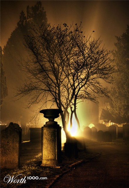 Photography by oruart