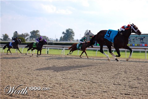 Photoshop Design by DucisPax