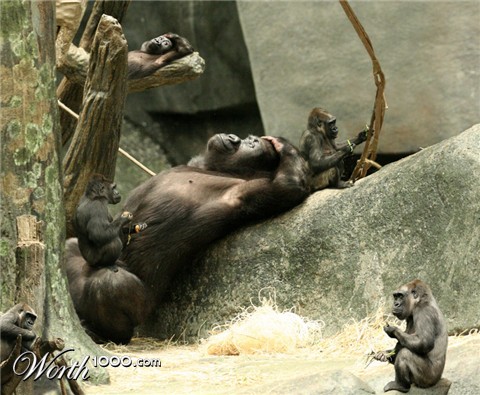 Photoshop Design by stormr