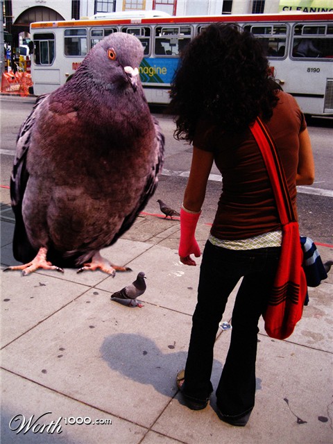 Photoshop Design by rush01