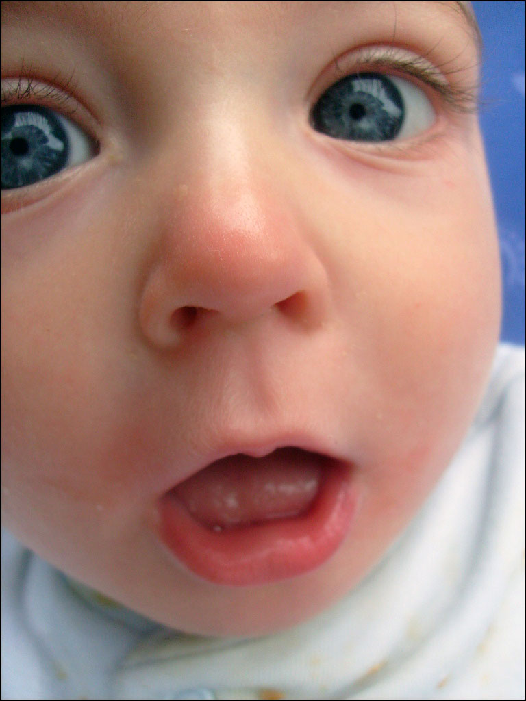 Photographie par JANIELLE pour DesignCrowd (Community Contests) | Design #8953889