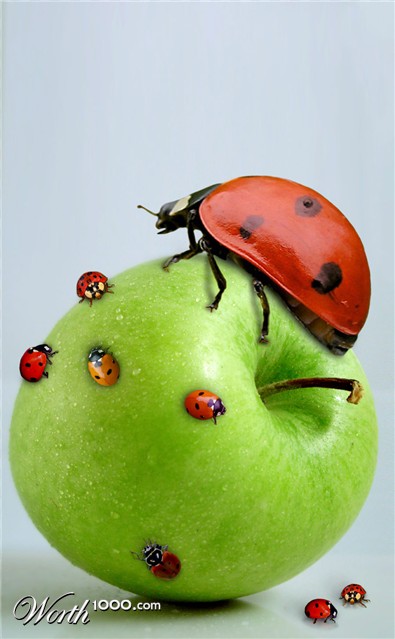 Photoshop Design by Ddallas