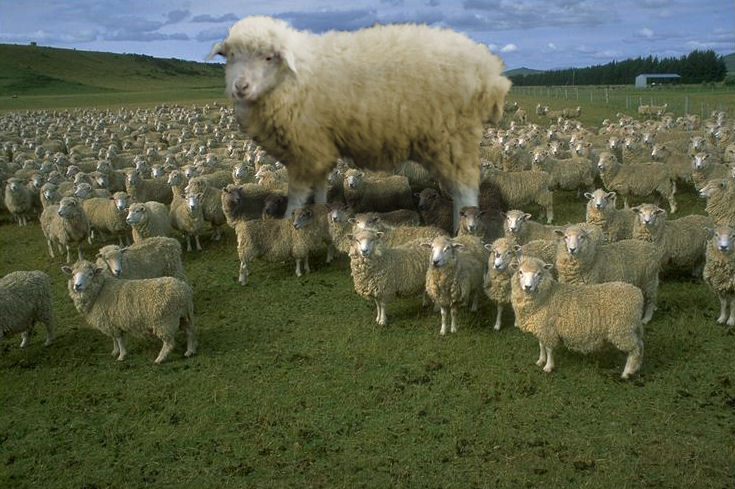 Photoshop Design by MrGone for DesignCrowd (Community Contests) | Design #8944431