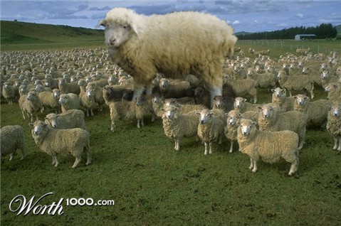 Photoshop Design by MrGone