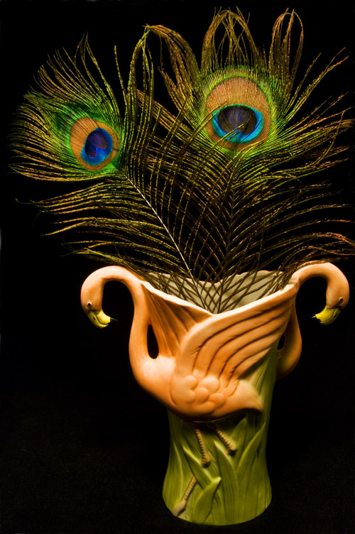 Photographie par ClickChick pour DesignCrowd (Community Contests) | Design #8950709