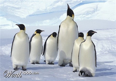 Photoshop Design by sandeshpshinde