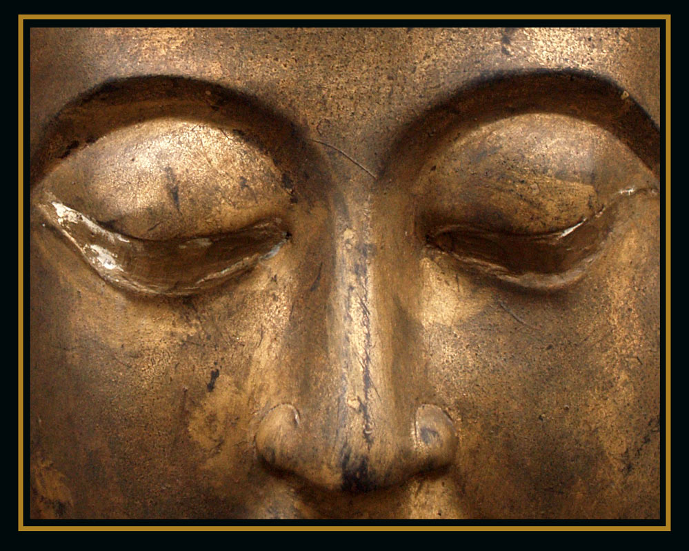 Photography by redcats for DesignCrowd (Community Contests) | Design #8944945