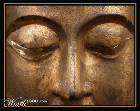 Photography by redcats