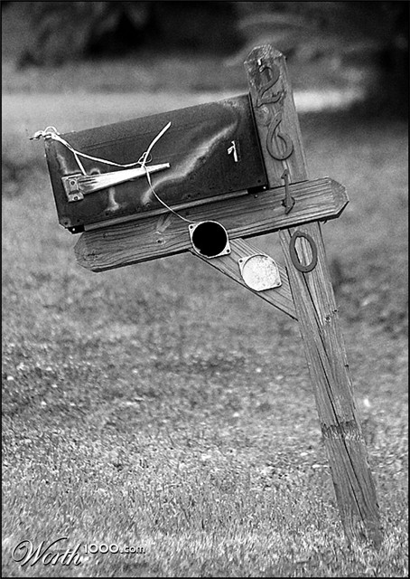 Photography by MrNelson