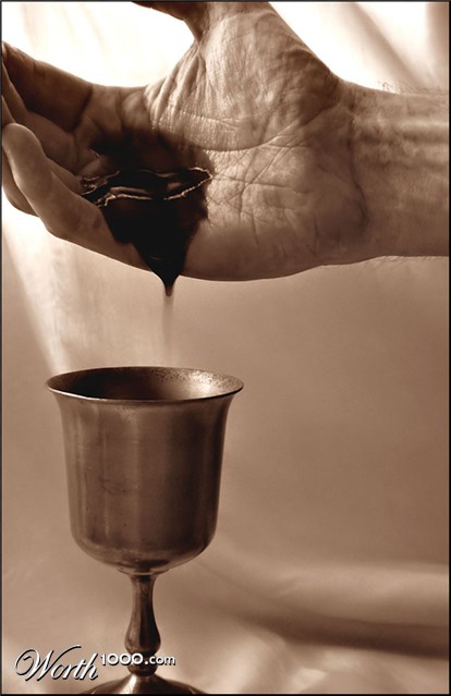 Photography by Isabella2006