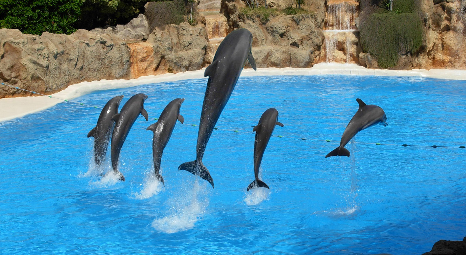 Photoshop Design by KlausTrophobie for DesignCrowd (Community Contests) | Design #8944385