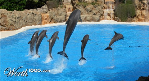 Photoshop Design by KlausTrophobie