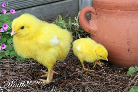 Photoshop Design by mikemuggles