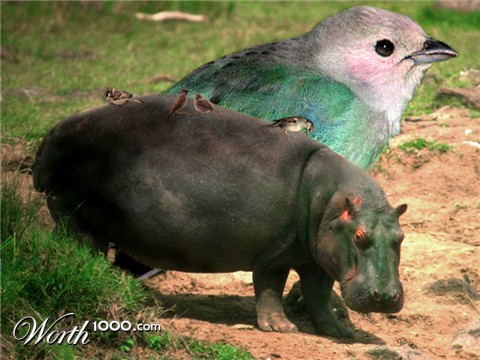 Photoshop Design by Pertubado