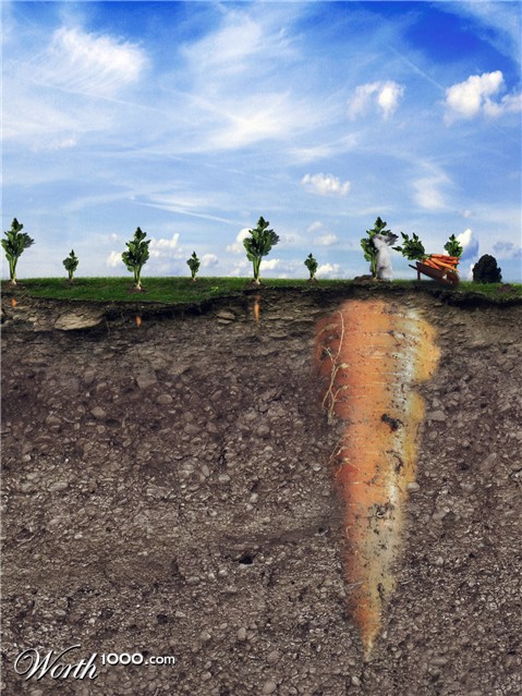 Photoshop Design by 7hi4g0