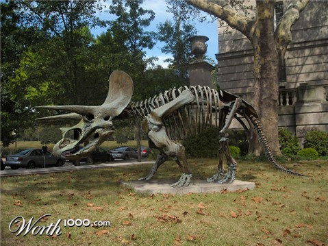 Photoshop Design by jtkremer89