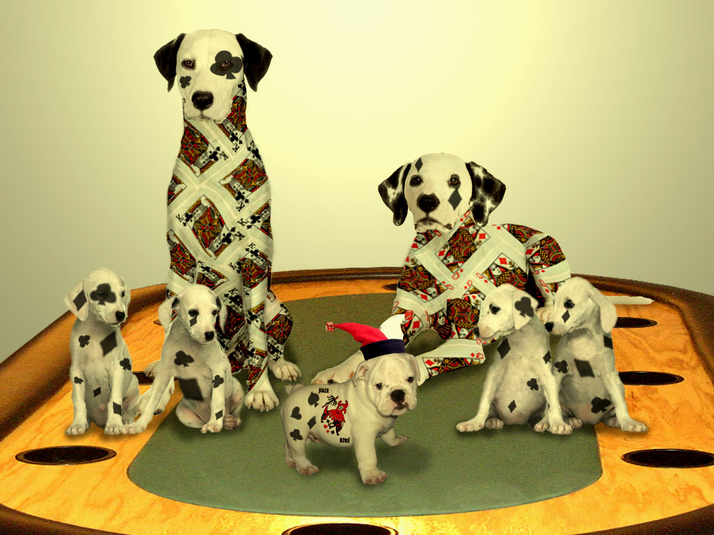 Photoshop Design by Kleston for DesignCrowd (Community Contests) | Design #8951826