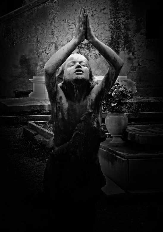 Photography by VICOZ1 for DesignCrowd (Community Contests) | Design #8944952