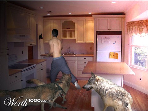 Photoshop Design by WhitePegasus94