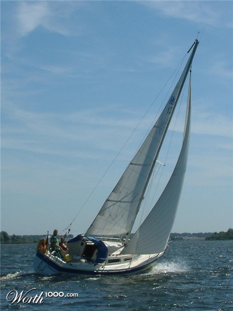 Photography by LucasService