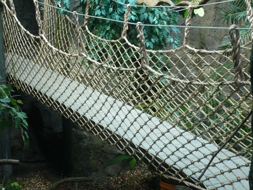 Photography by althor1170 for DesignCrowd (Community Contests) | Design #8945131