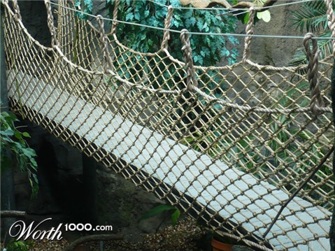 Photography by althor1170