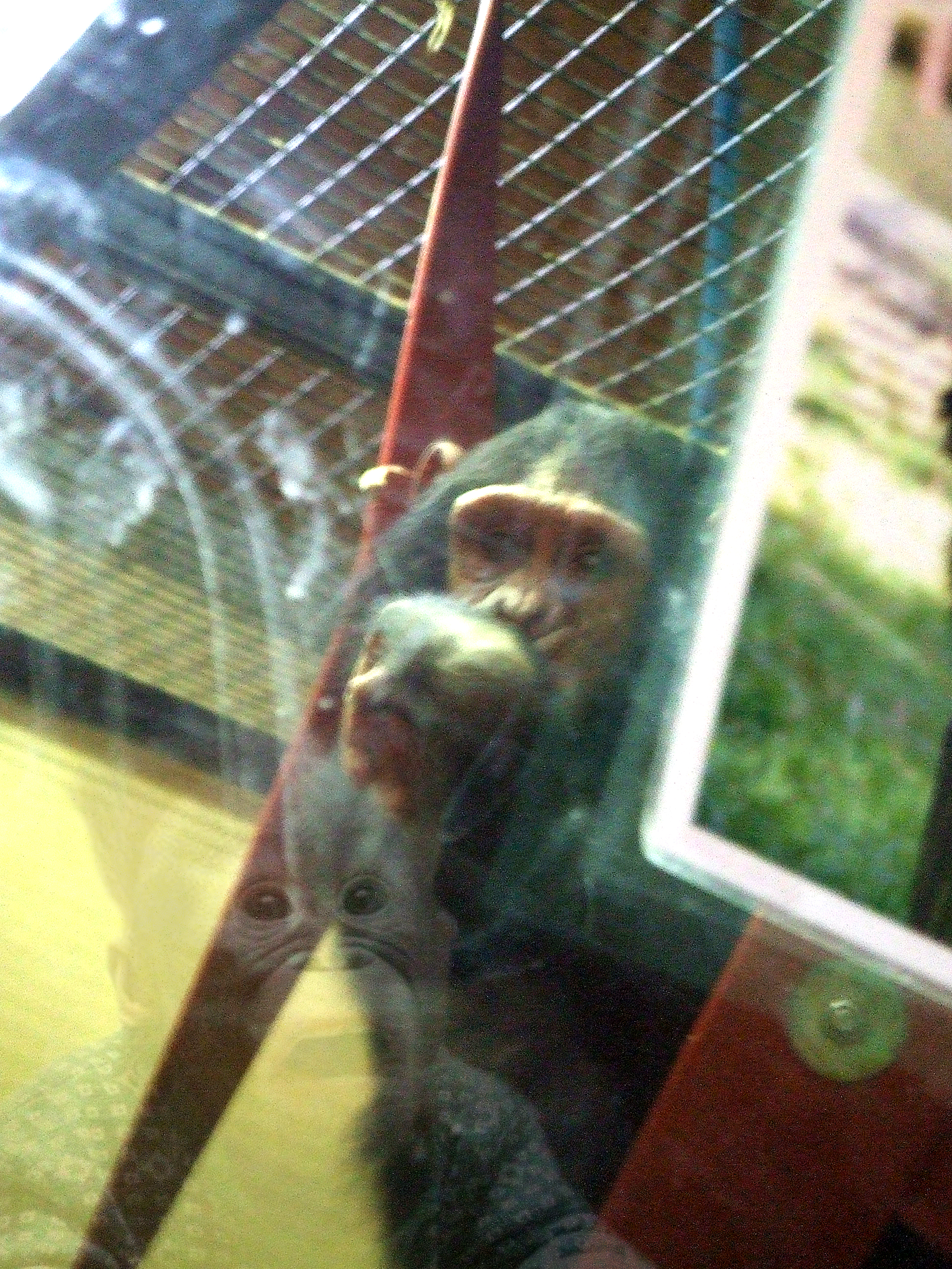 Design Photoshop par hagga27 pour DesignCrowd (Community Contests) | Design #8948902