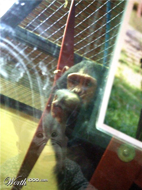 Photoshop Design by hagga27