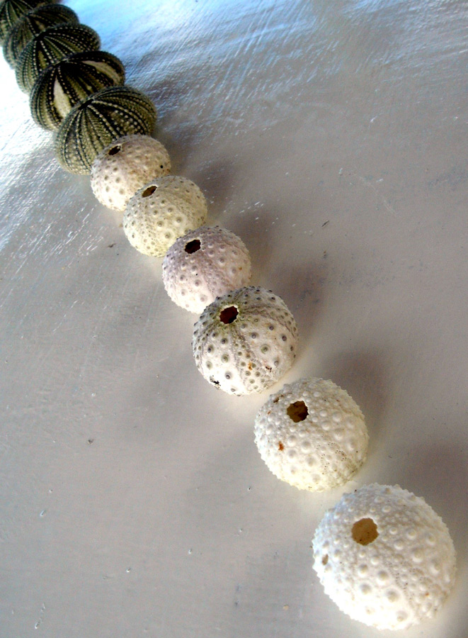 Photography by ljvgtj for DesignCrowd (Community Contests) | Design #8945100