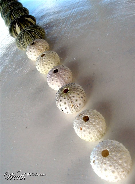 Photography by ljvgtj