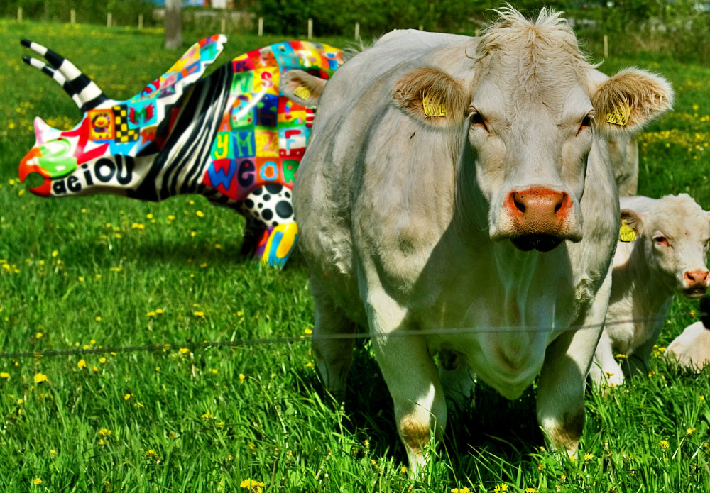 Photoshop Design by tammuz for DesignCrowd (Community Contests) | Design #8950268