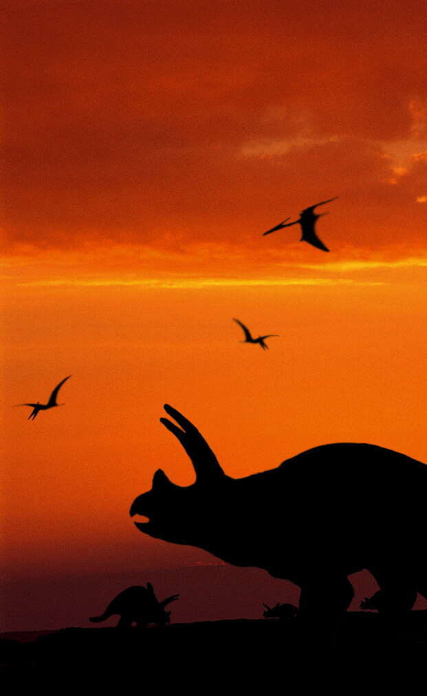 Photoshop Design by Arathorn for DesignCrowd (Community Contests) | Design #8950337