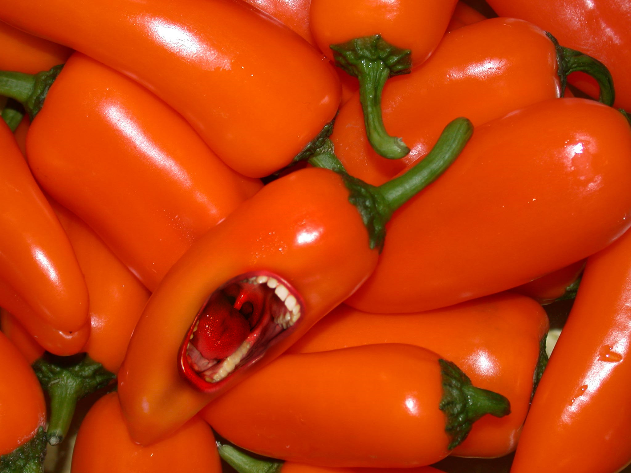 Photoshop-Design von scallywag für DesignCrowd (Community Contests) | Design #8948956