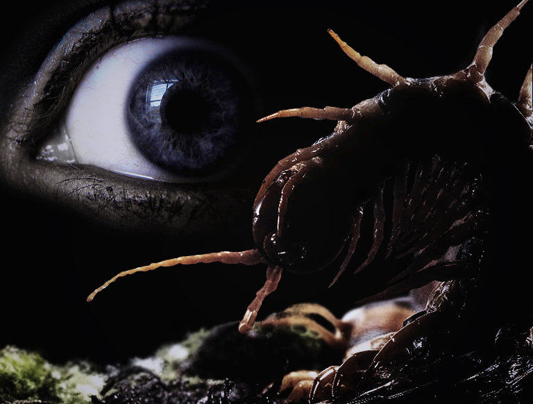 Photoshop Design by castiza for DesignCrowd (Community Contests) | Design #8948938