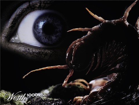 Photoshop Design by castiza