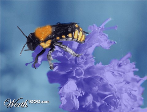 Photoshop Design by Jayahada