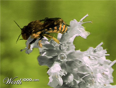 Photoshop Design by macboy