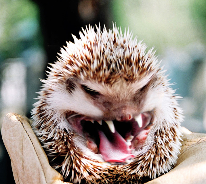 Diseño de Photoshop por urnmns para DesignCrowd (Community Contests) | Diseño #8948976