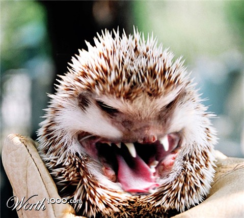 Photoshop Design by urnmns