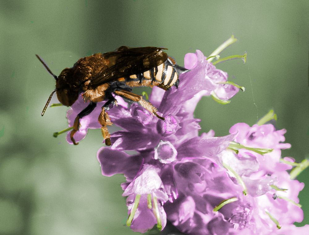 Design Photoshop par Tiffa130 pour DesignCrowd (Community Contests) | Design #8950125