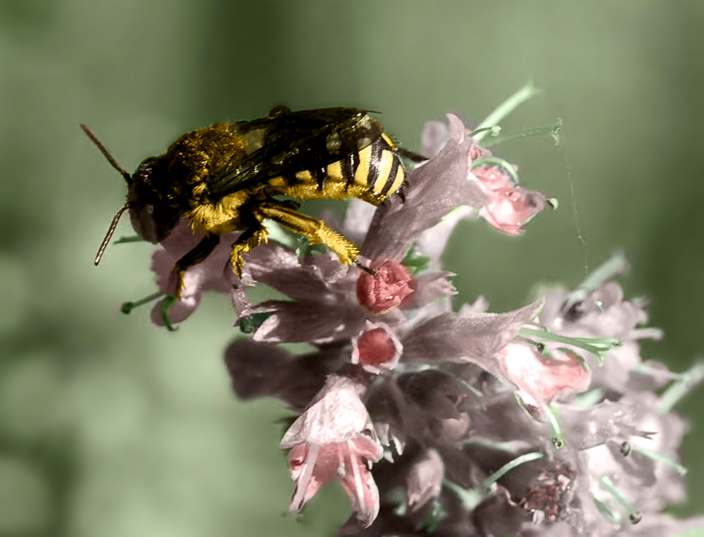 Photoshop Design by Chimmi for DesignCrowd (Community Contests) | Design #8950130