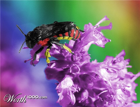 Photoshop Design by bradgetskrunk