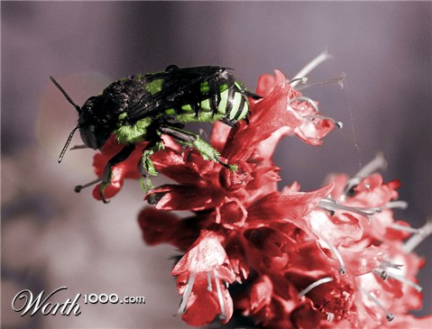 Photoshop Design by nadiakasper28