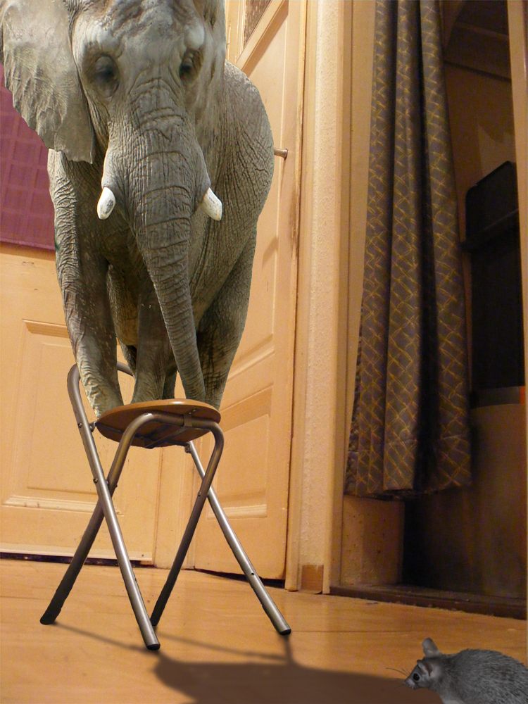 Photoshop Design by bicyclewilli for DesignCrowd (Community Contests) | Design #8948982