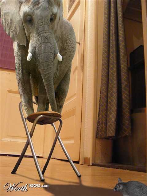 Photoshop Design by bicyclewilli